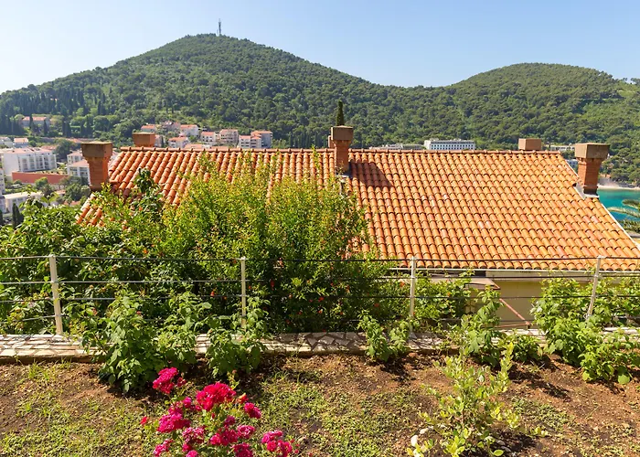 曼迪公寓式酒店 公寓 *